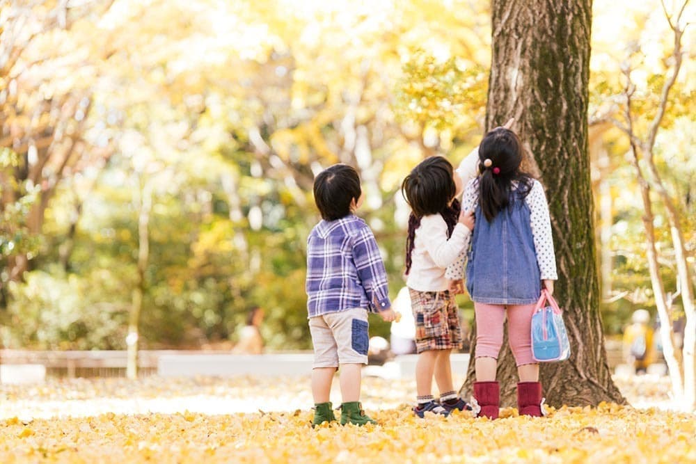 Children looking at a tree